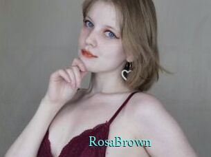 RosaBrown