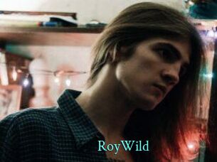 RoyWild
