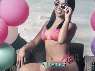 Rileynacci