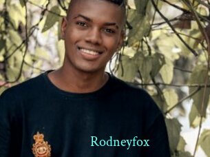 rodneyfox xxx Fantasy Land