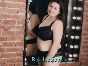 Rosaliebigboobs