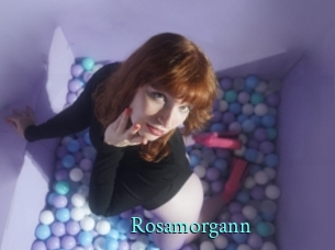 rosamorgann xxx Fantasy Land