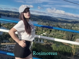 Rosimoreau