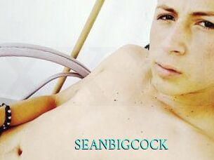 SEAN_BIG_COCK xxx Fantasy Land