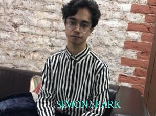 SIMON_SPARK