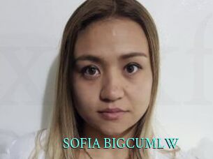 SOFIA_BIGCUMLW