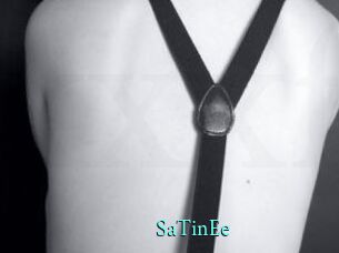 SaTinEe xxx Fantasy Land
