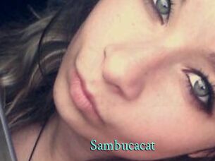 Sambucacat