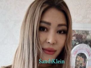 SandiKlein