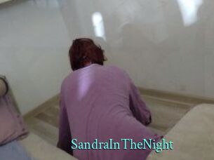 SandraInTheNight