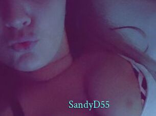 SandyD55