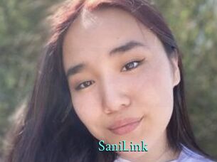SaniLink