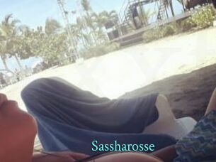 Sassharosse
