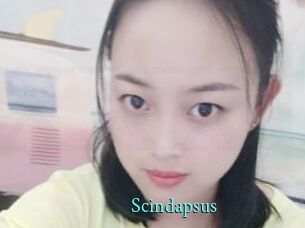 Scindapsus