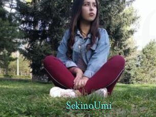 SekinoUmi