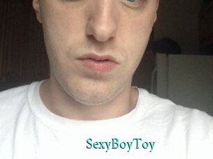 SexyBoyToy