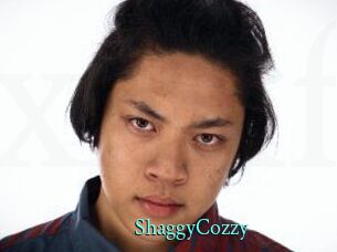 ShaggyCozzy