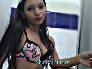 ShantalBunny
