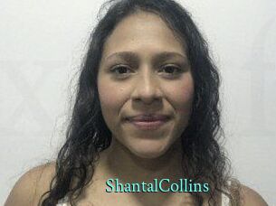 ShantalCollins xxx Fantasy Land