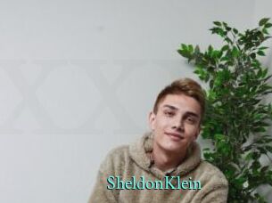 SheldonKlein