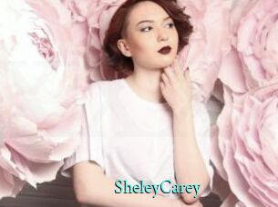 SheleyCarey