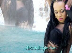 Shenielbiginches