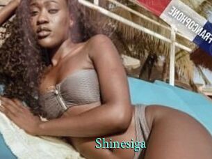 Shinesiga