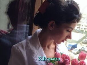Silkworm