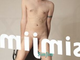 SimJim