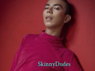 SkinnyDudes xxx Fantasy Land