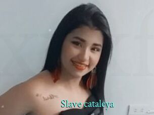 Slave_cataleya