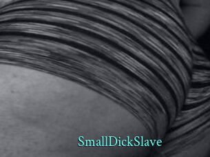 SmallDickSlave