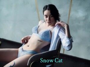 Snow_Cat