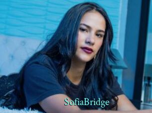 SofiaBridge