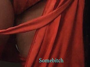Somebitch xxx Fantasy Land