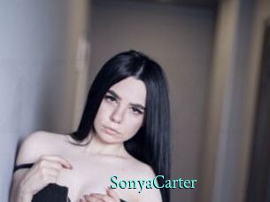 SonyaCarter xxx Fantasy Land