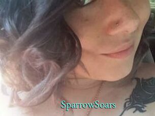 SparrowSoars