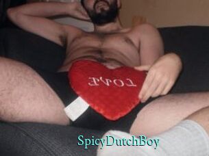 SpicyDutchBoy