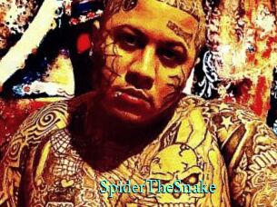 SpiderTheSnake