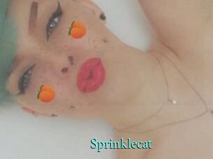 Sprinklecat