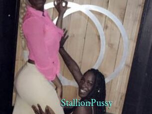 StallionPussy