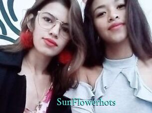 SunFlowerhots