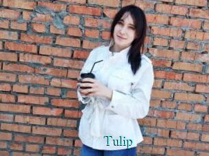 Tulip