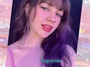 sagejosie xxx Fantasy Land