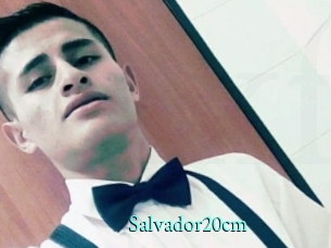 Salvador20cm