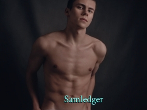 Samledger