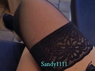 Sandy1111