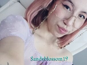 Sandyblossom19