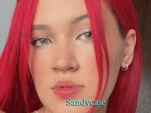 Sandycase