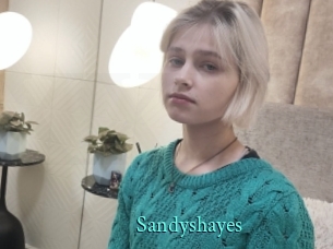Sandyshayes